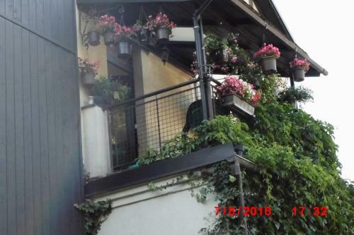 Apartm�n V Secesn� Vile