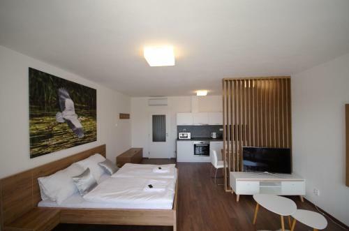 Apartm�ny Viva T?ebo?