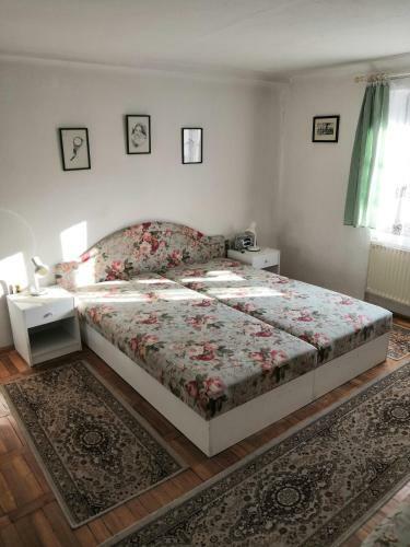 Hostal Apartm�ny V Centru U Moravc?