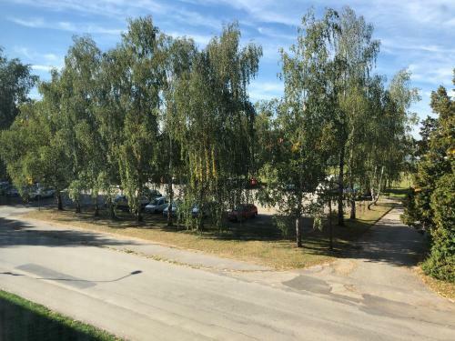 Luxusn� Apartm�n T?ebo?