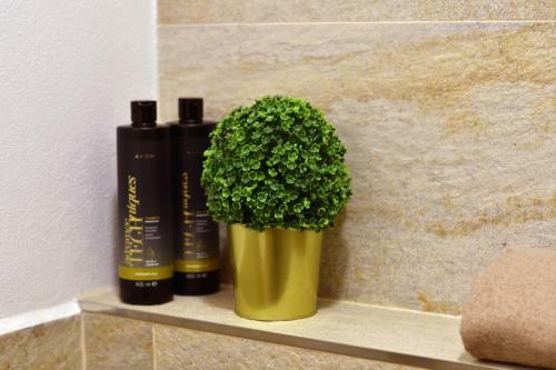 Apartm�ny T?ebo? B�l� Ber�nek