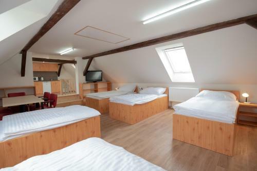 Apartm�ny U Lesa Nov� Hl�na