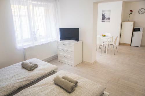 Apartamento Penzion U Parku T?ebo?