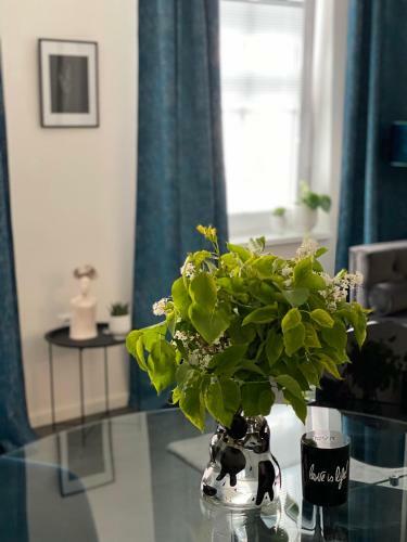 Apartm�ny Mia Valtice