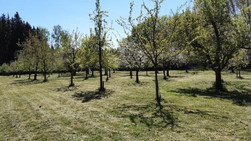 Apartamento Waldhotel Rainau