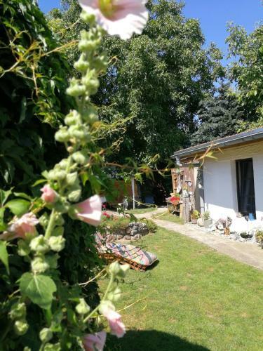 Apartamento Bungalow Bei Warnem�nde