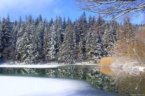 Lodge Chaty Pohoda Na Sol�ni