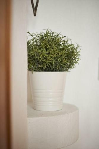 Apartamento Fewo Helm