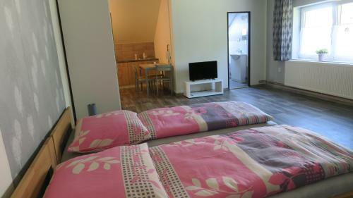 Apartm�ny U Ml�na