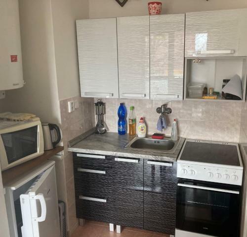 Apartm�n Ve Velk�ch Losin�ch