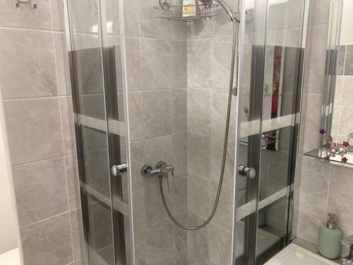 Apartm�n Ve Velk�ch Losin�ch