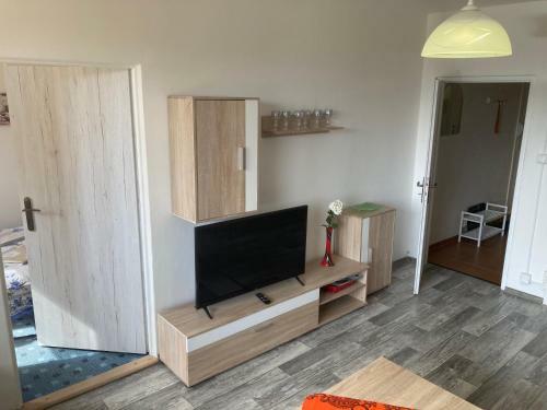 Apartm�n Ve Velk�ch Losin�ch