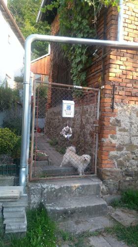 Agroturismo U Babi?ky A Jeji Ps� Sme?ky
