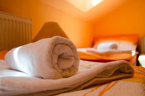 Hostal Penzion Vin�rna U Hroznu