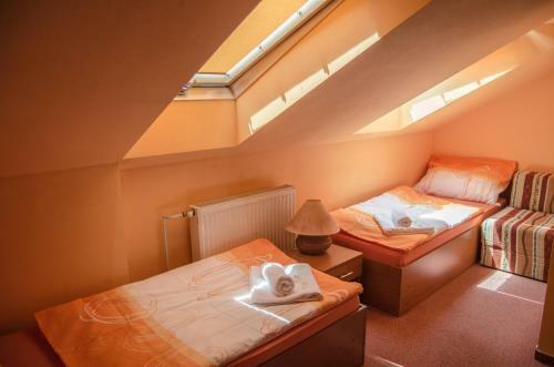 Hostal Penzion Vin�rna U Hroznu