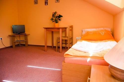 Hostal Penzion Vin�rna U Hroznu