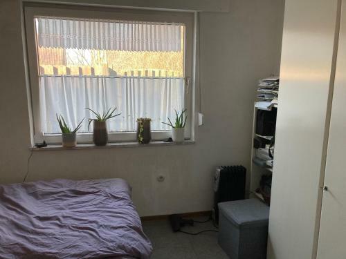 Detached Bungalow 2-5 Persons Free Wifi