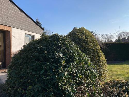 Detached Bungalow 2-5 Persons Free Wifi