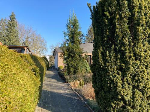 Detached Bungalow 2-5 Persons Free Wifi