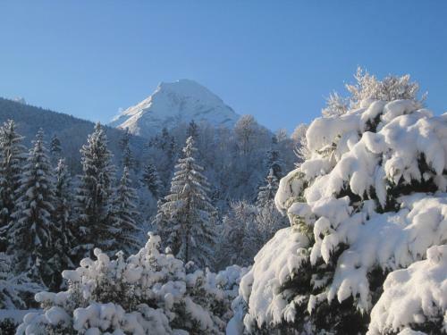 Apartamento Haus Alpengl�hn