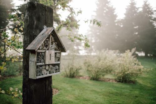 Apartamento Tiny House