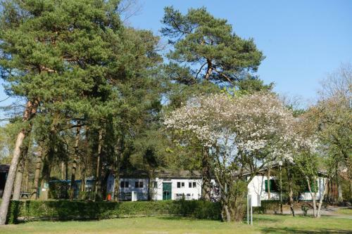 Camping Aller Leine Tal