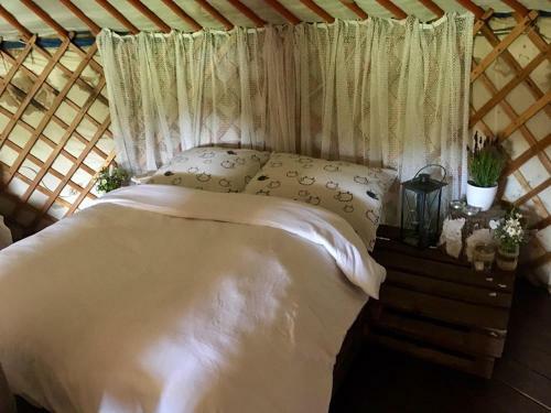 Lodge Yurt - Jurti?ka