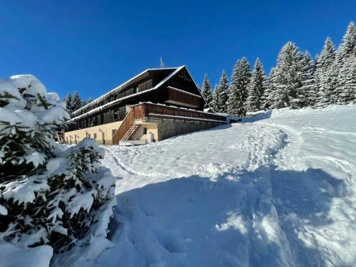 Hostal Pension Hones