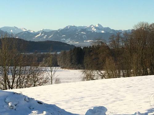 Apartamento Ferienhaus Langer