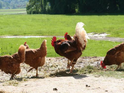 Agroturismo Kirmeier Hof