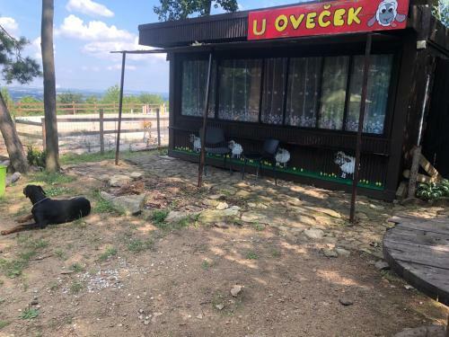 Hostal Ubytov�n� Pod Haniperkem