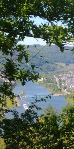 Apartamento Ferienhaus Moselgl�ck