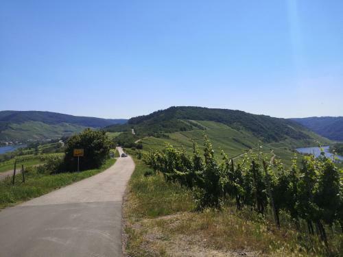 Apartamento Steffismoselgl�ck