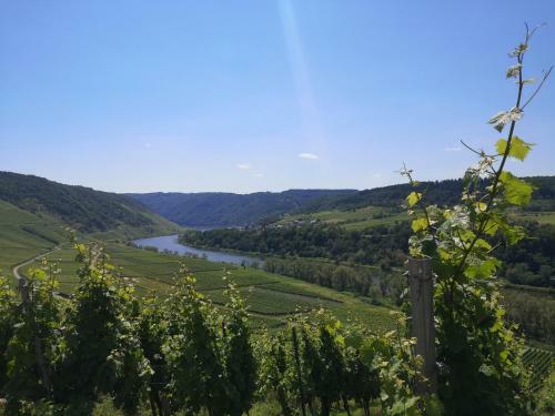 Apartamento Steffismoselgl�ck