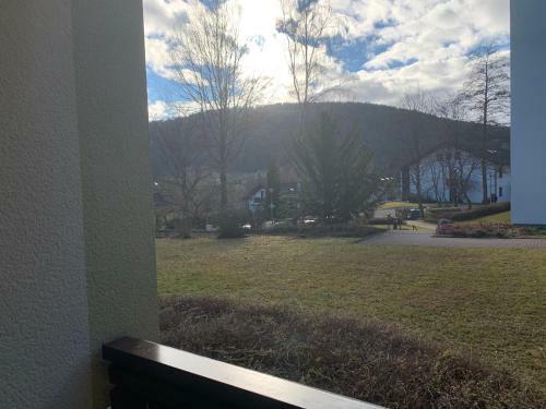 Apartamento Urlaub Im Schwarzwald