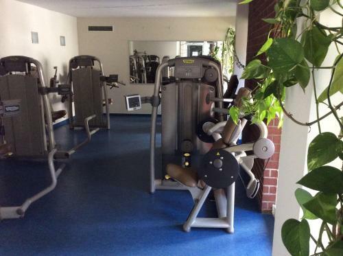 Wellness Apartment Sankt Englmar