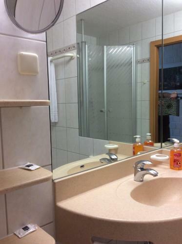 Wellness Apartment Sankt Englmar