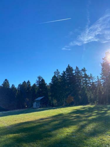 Apartamento Ferienwohnungen Gold