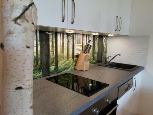 Apartamento Waldwipfel-appartement
