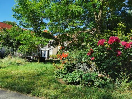 Apartamento Ferienwohnung Rummelsm�hle