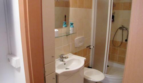 Apartm�n Krkavec Ve Vrchlab�