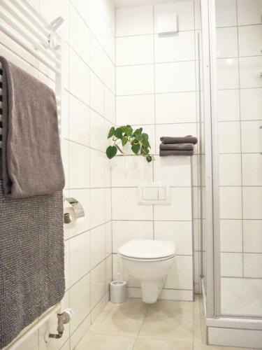 Hostal Gasthaus Zum Alten Euler