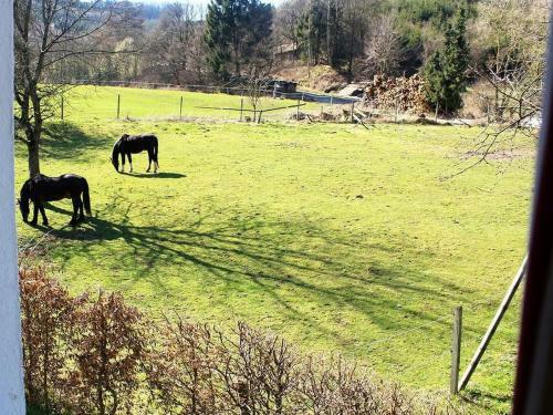 Apartamento Ferienwohnung Peitz
