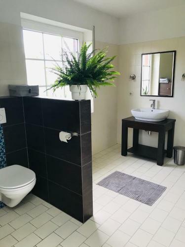 Apartamento Celebis Home