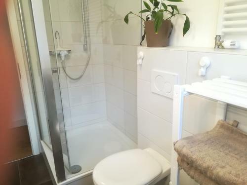Apartamento Schnuckelige Ferienwohnung - N�he Europapark