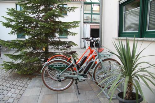 Apartamento Alter Fritz Erfurt