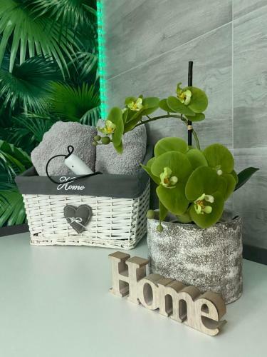 Apartamento Ferienwohnung Erfurter Rose