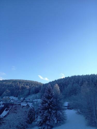 Apartamento Ferienwohnung Aroba