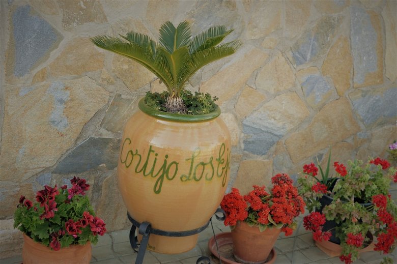 Apartamento Cortijo Rural Los Ejeas