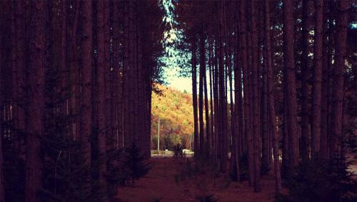 Domaine Summum